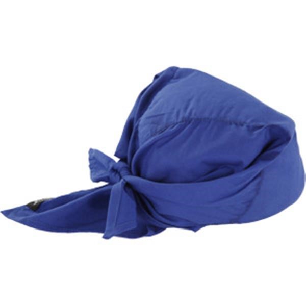 Ergodyne® Chill-Its® 6710CT Hat w/ Cooling Towel, Blue, 1/Each