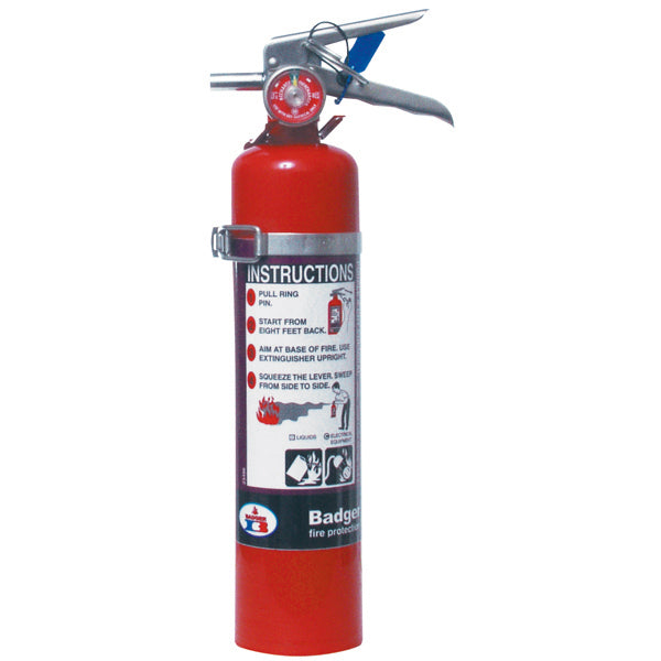 Badger™ Extra 2.5 lb Purple K Extinguisher w/ Wall Hook