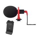 Directional Video Microphone
