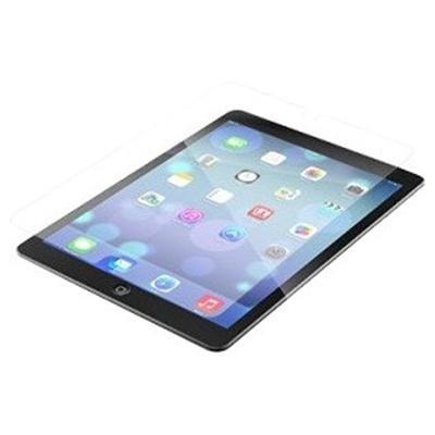 iPad Mini 4 HDX InvisibleShiel