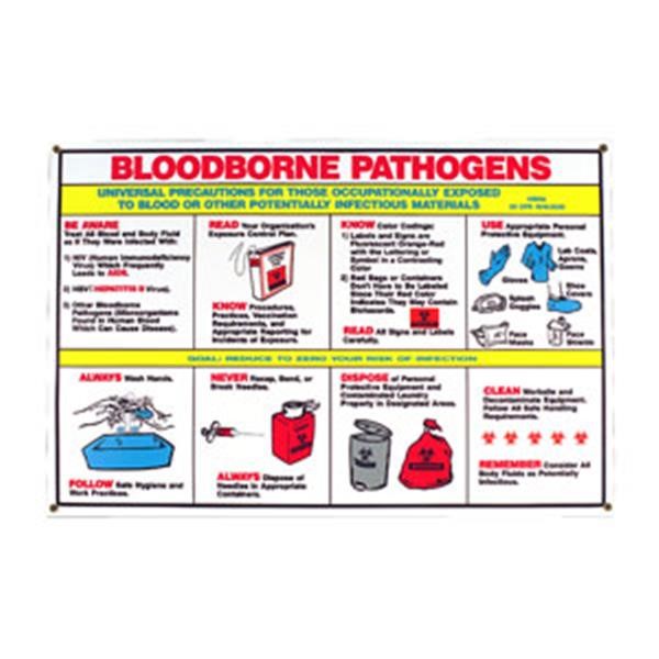 Brady® Biohazard Safety Poster, 1/Each