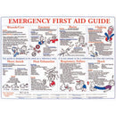Brady® First Aid Training Safety Poster, 1/Each