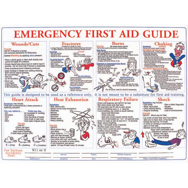 Brady® First Aid Training Safety Poster, 1/Each